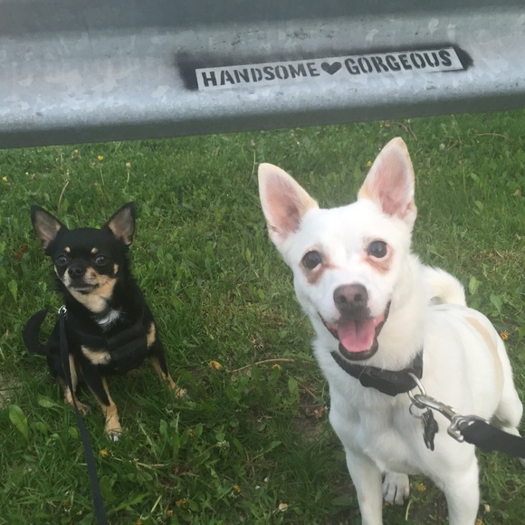 Meet your Posher, Shannon - Picture 1 of 1